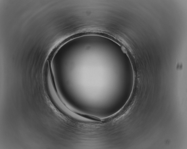 X0000090770981200708031648