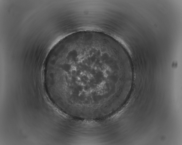 X0000090770983200708031648