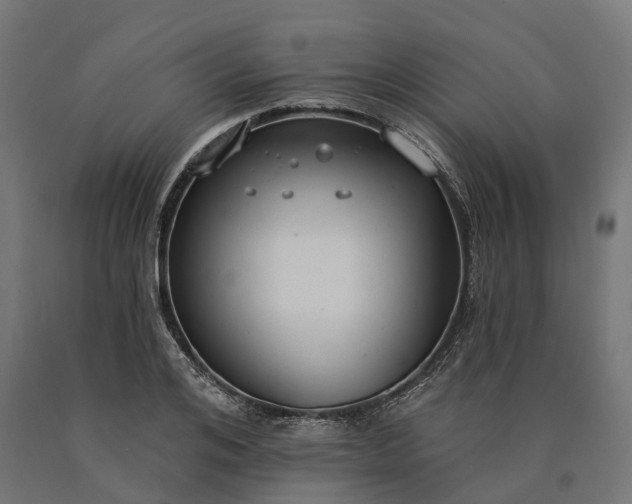 X0000090770984200708031648