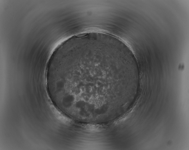 X0000090770987200708031648
