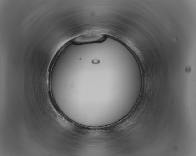 X0000090770988200708031648
