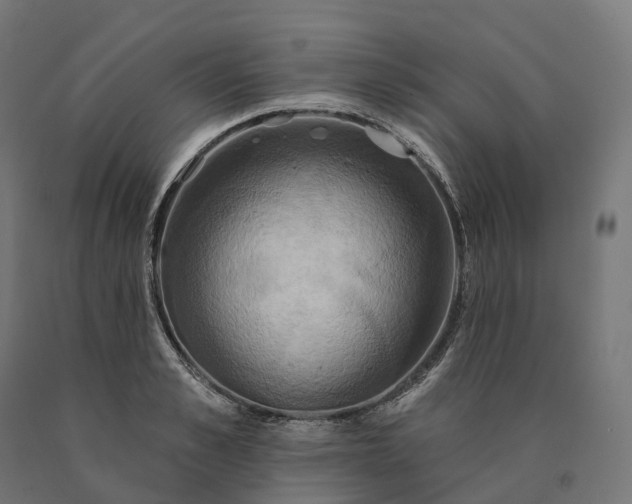 X0000090770989200708031648