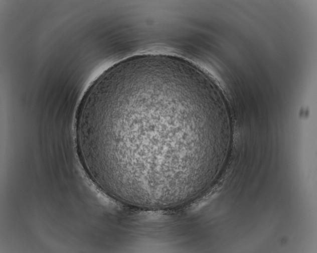 X0000090770990200708031648