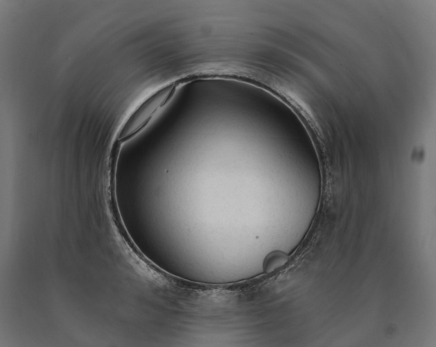X0000090770992200708031648