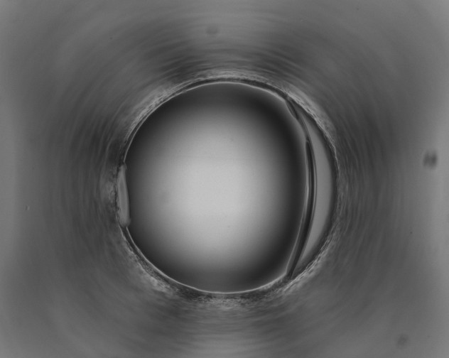 X0000090770993200708031648