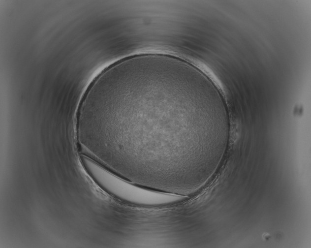 X0000090770996200708031648
