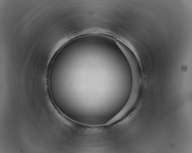 X0000090770997200708031648