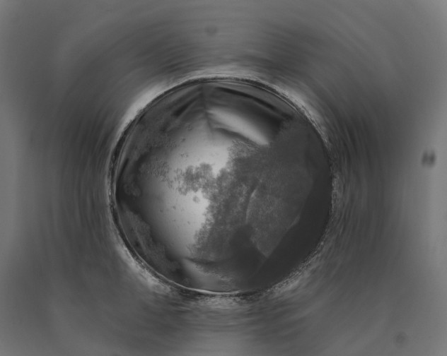 X0000090770998200708031648