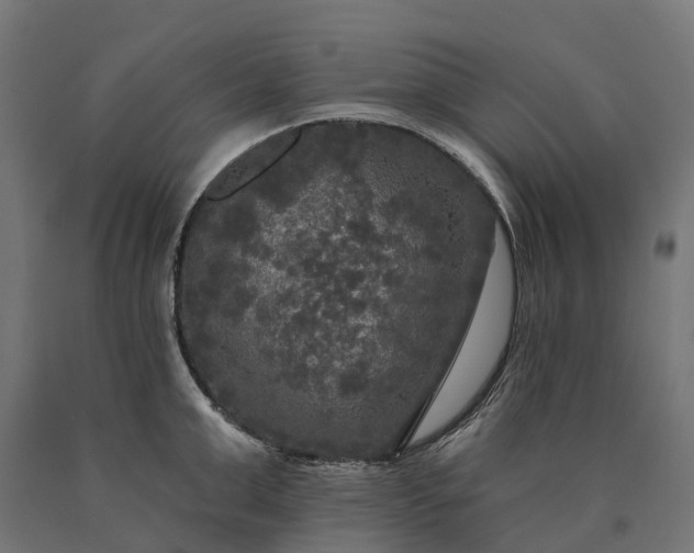 X0000090770999200708031648