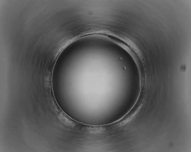X0000090771001200708031648