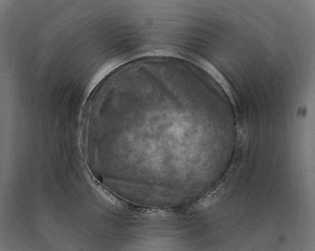 X0000090771002200708031648