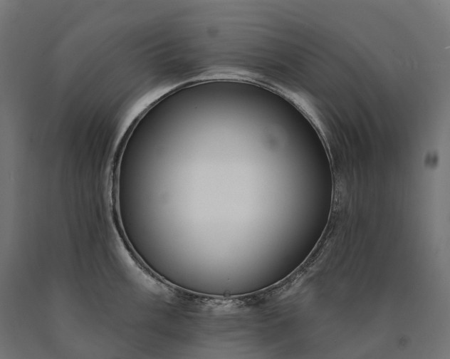 X0000090771003200708031648