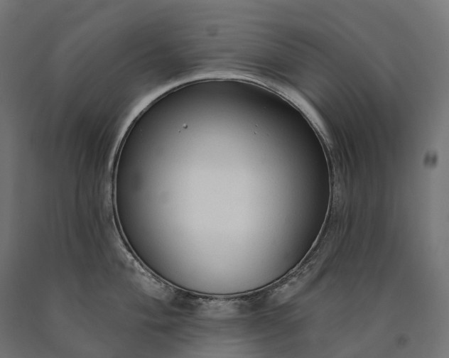 X0000090771004200708031648