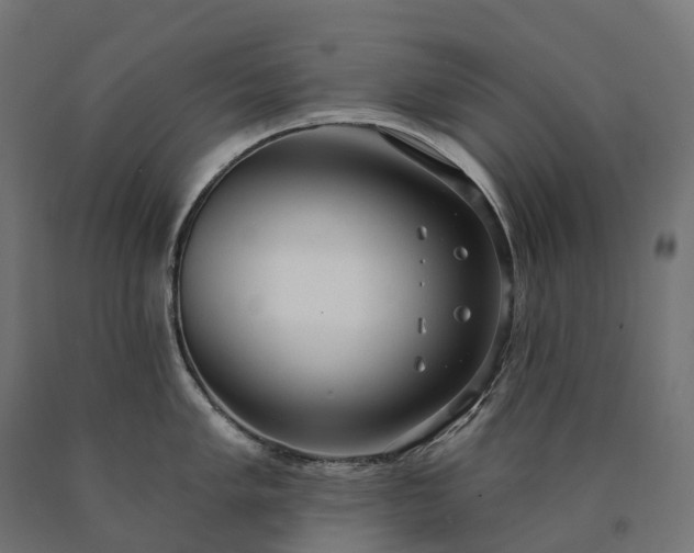 X0000090771005200708031648