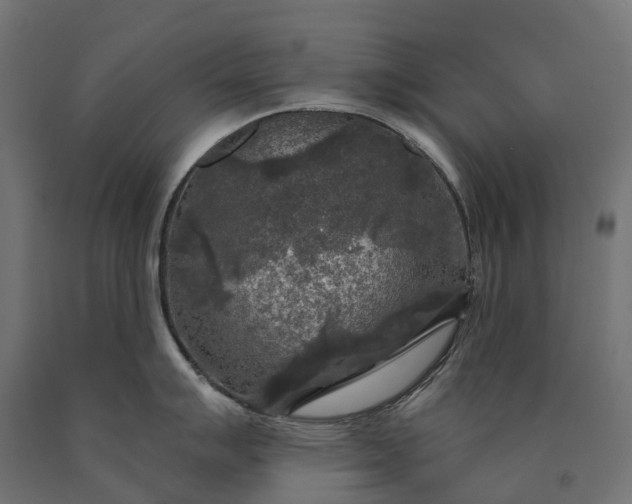 X0000090771007200708031648