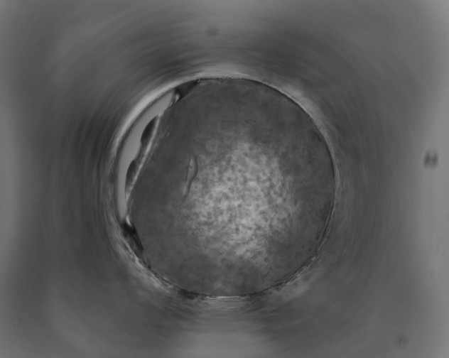 X0000090771008200708031648