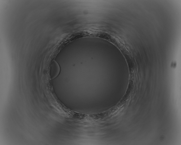 X0000090771009200708031647