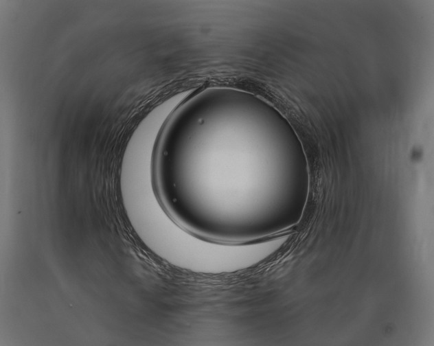 X0000090771010200708031647
