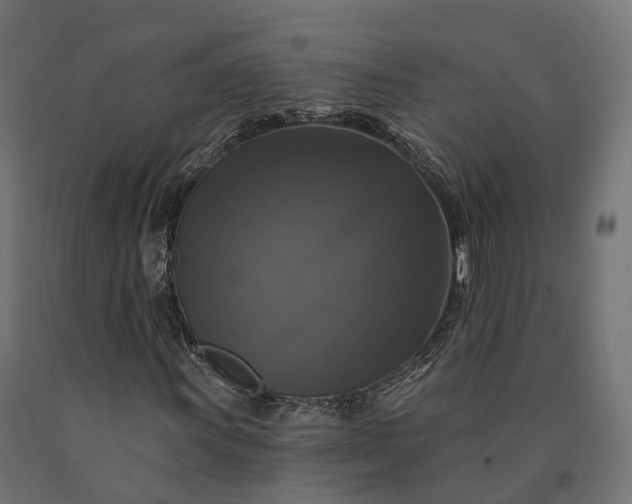 X0000090771011200708031647