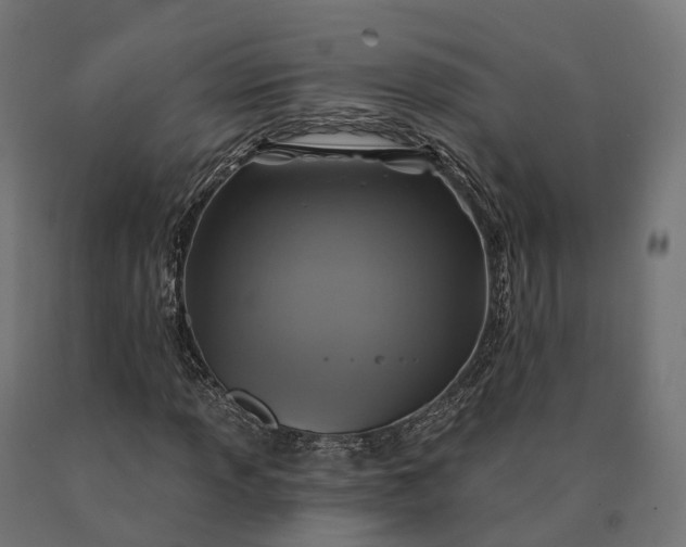 X0000090771013200708031647