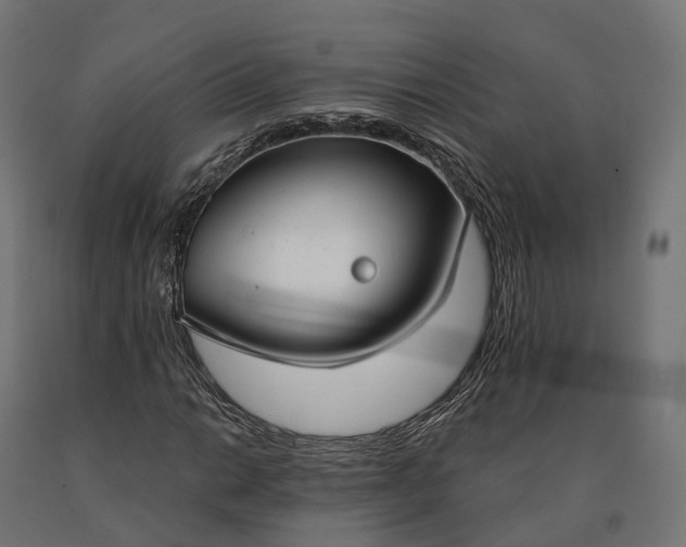 X0000090771014200708031647