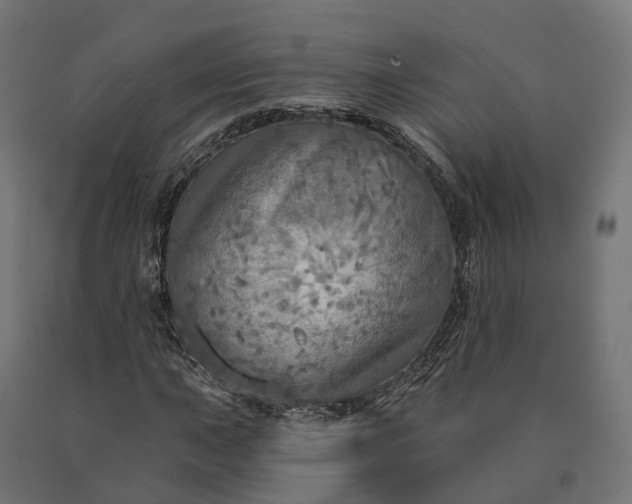 X0000090771015200708031647