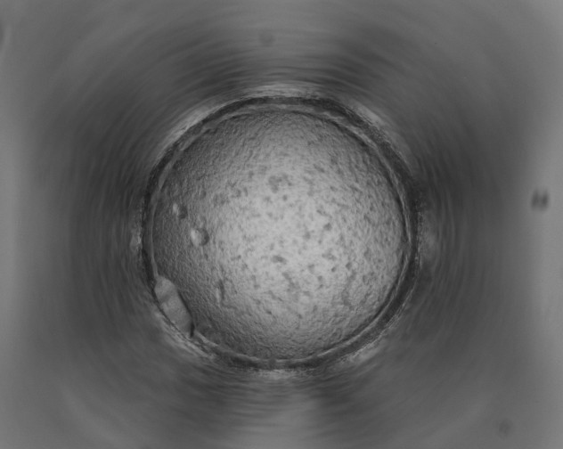 X0000090771017200708031648