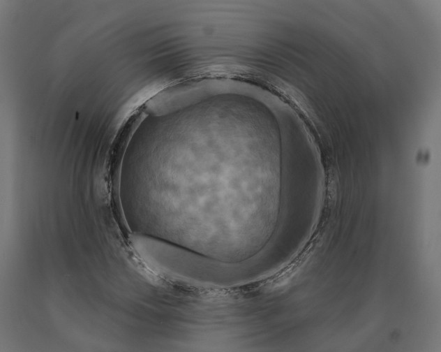 X0000090771018200708031648