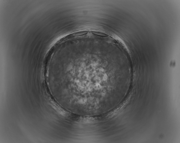 X0000090771019200708031648