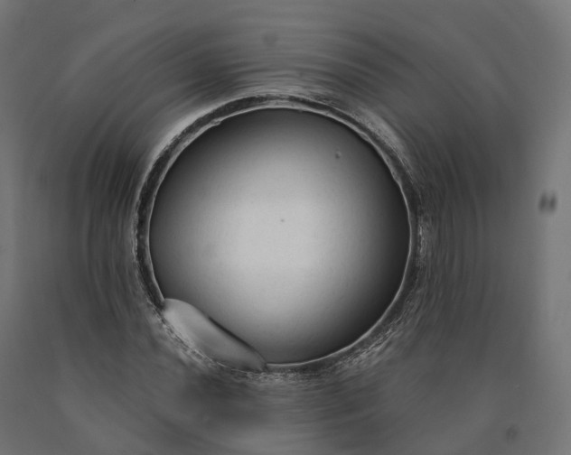 X0000090771020200708031648