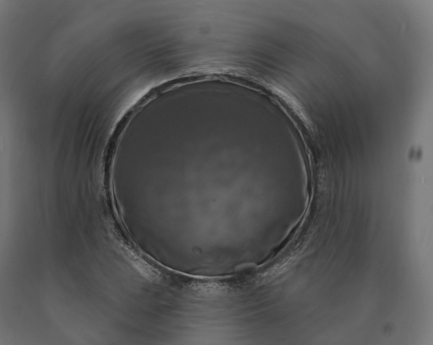 X0000090771023200708031648