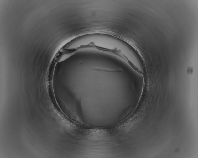 X0000090771024200708031648