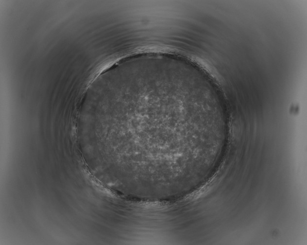 X0000090771025200708031648