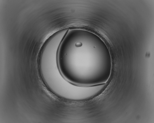 X0000090771026200708031648