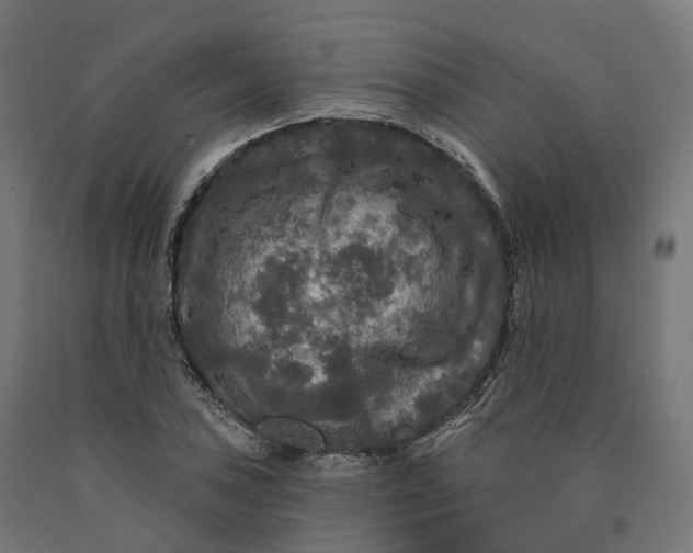 X0000090771027200708031648