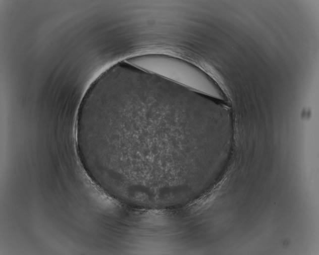 X0000090771028200708031648