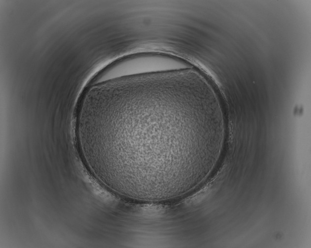 X0000090771029200708031648