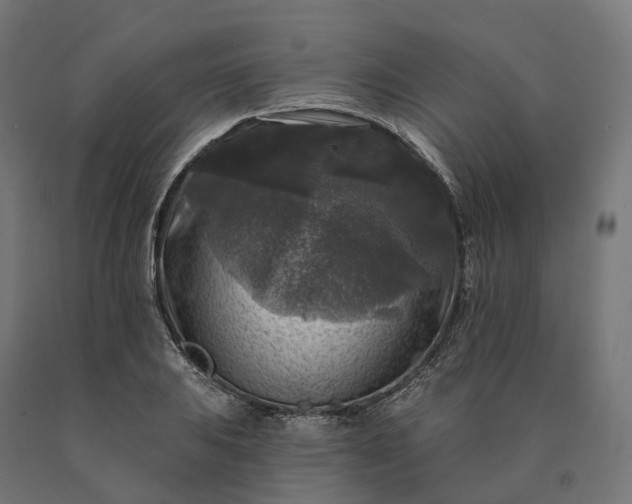 X0000090771031200708031648