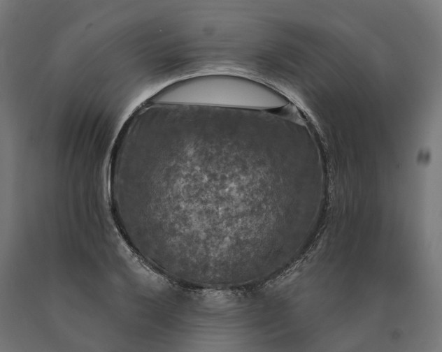 X0000090771032200708031648