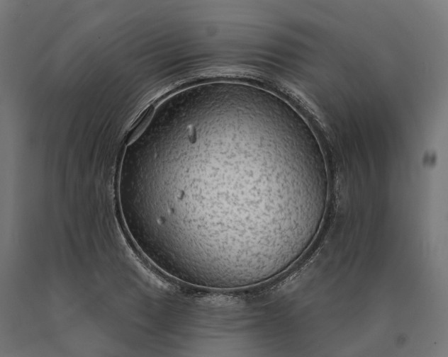 X0000090771033200708031648