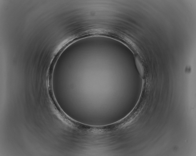 X0000090771034200708031648