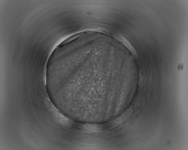 X0000090771036200708031648