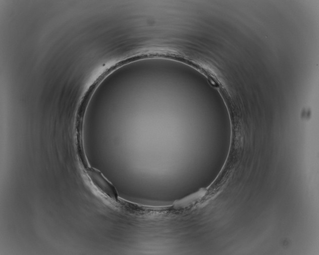 X0000090771038200708031648
