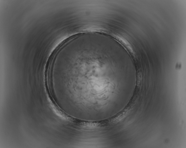 X0000090771039200708031648