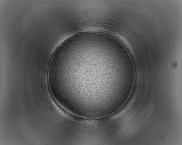 X0000090771041200708031648