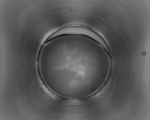 X0000090771042200708031648