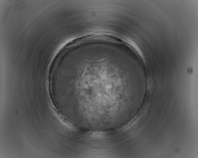 X0000090771043200708031648