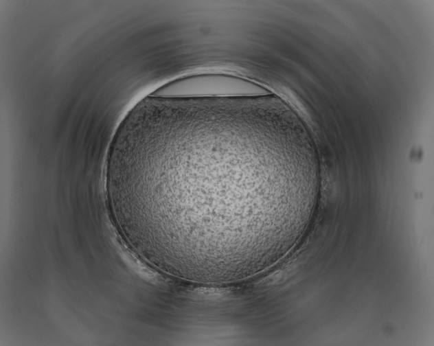 X0000090771044200708031648