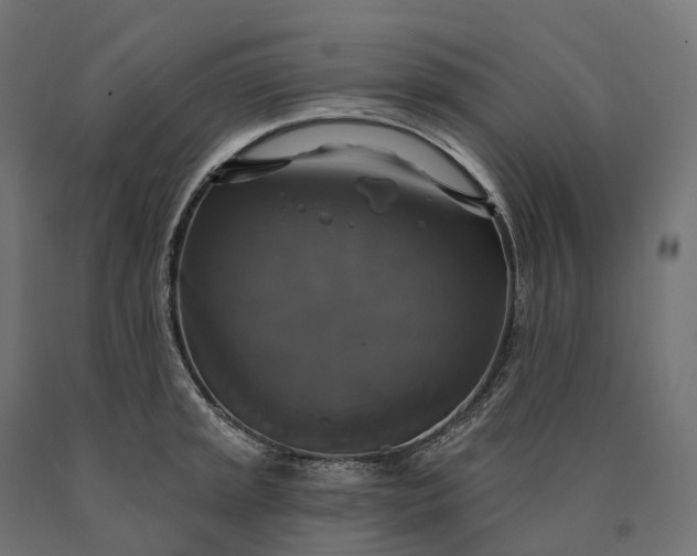 X0000090771045200708031648