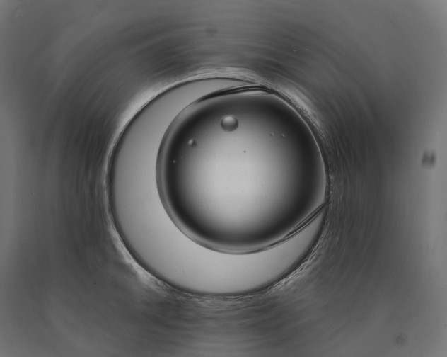 X0000090771046200708031648